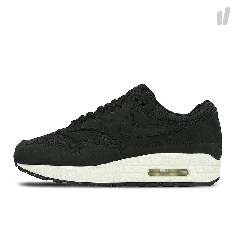 wmns air max 1 pinnacle