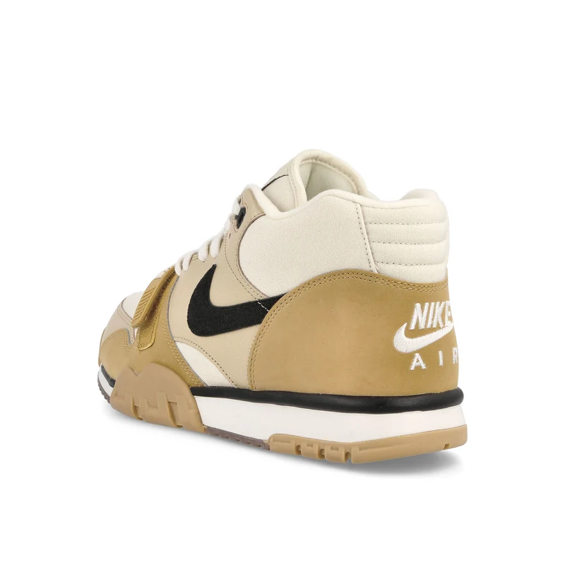 Air Trainer 1