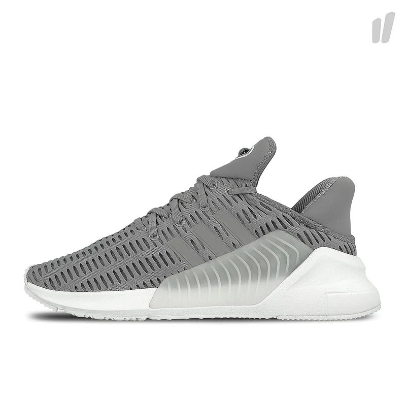 wmns climacool 02/17