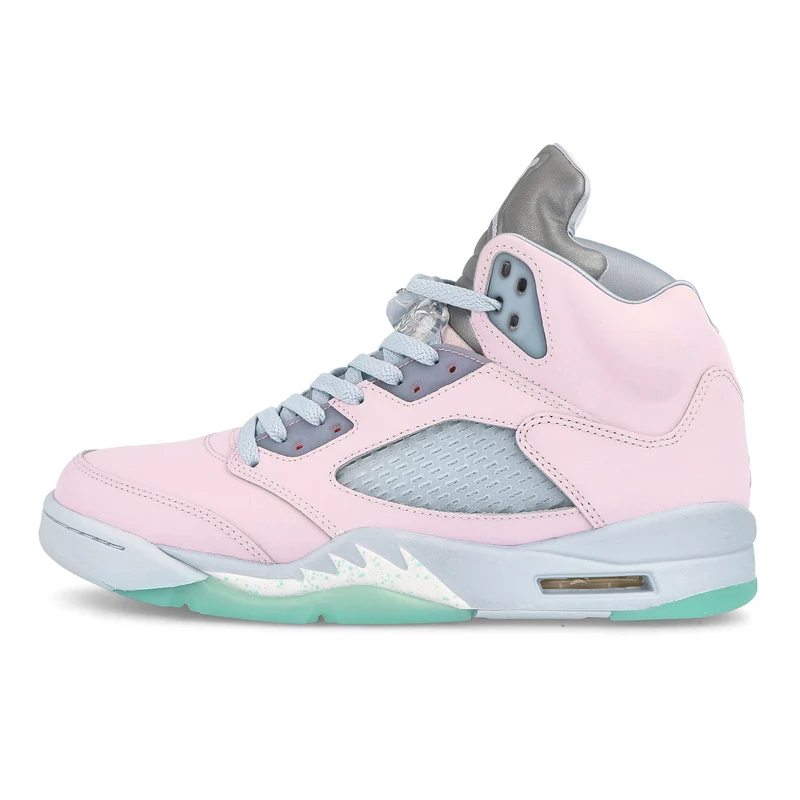 Air Jordan 5 Retro SE