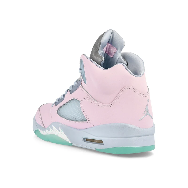 Air Jordan 5 Retro SE