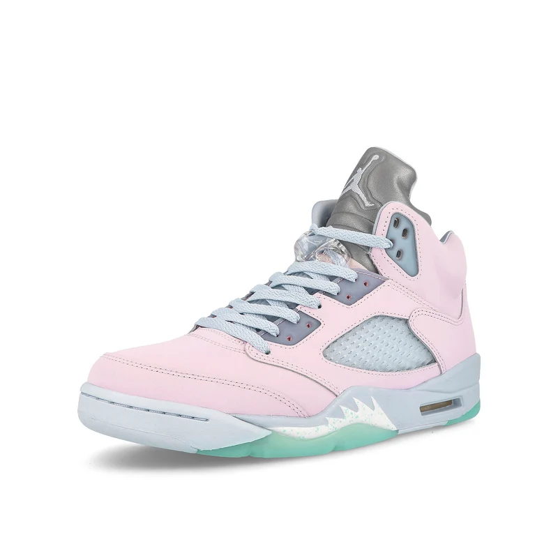 Air Jordan 5 Retro SE