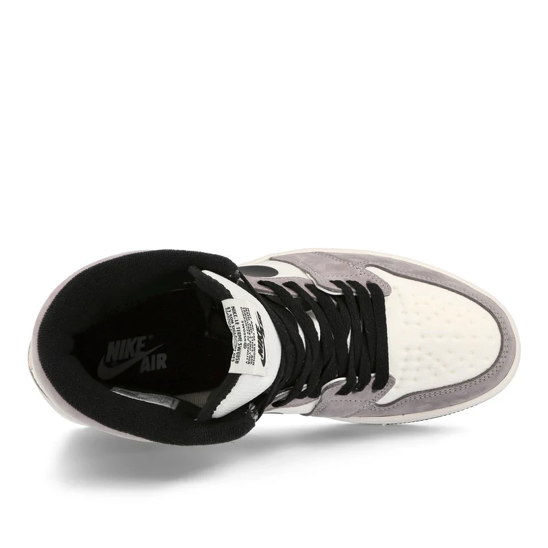 Air Jordan 1 Element Gore-Tex