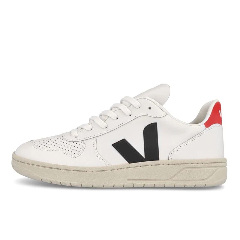 v-10 leather