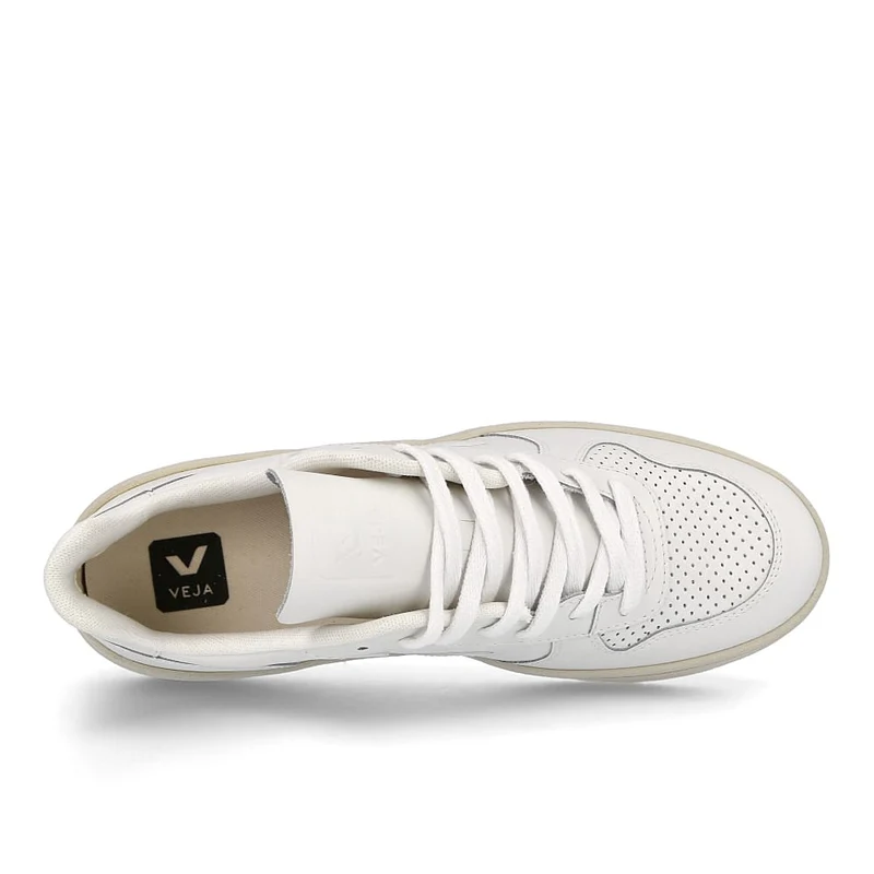 v-10 leather