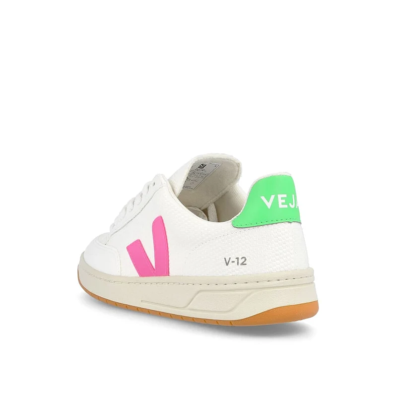 v-12 b-mesh